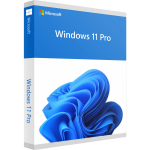 Windows 11 Pro Retail - Attivazione online - Licenza a Vita