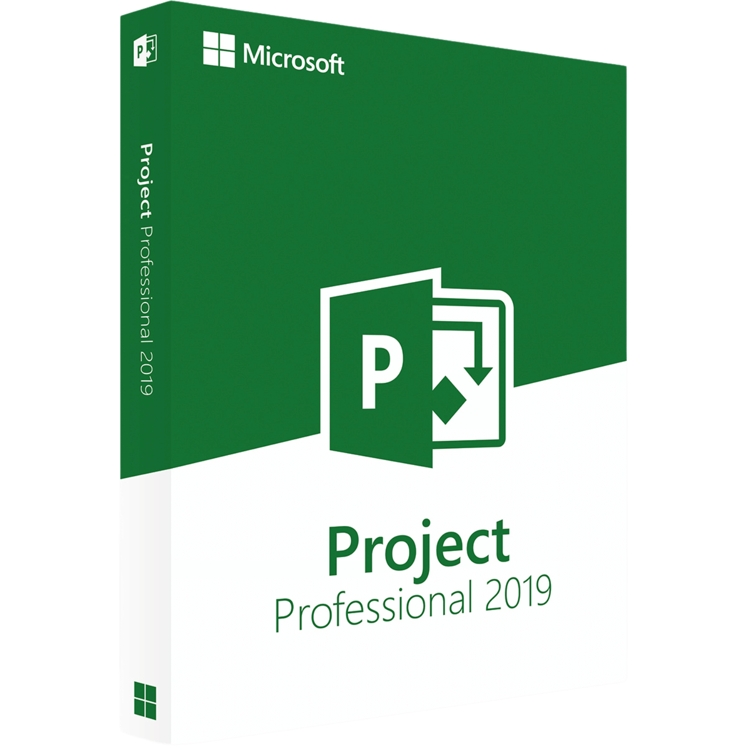 9 Project Professional 2019 - Attivazione online - Licenza a Vita - immagine 1