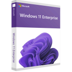 Windows 11 Enterprise - Attivazione online - Licenza a Vita